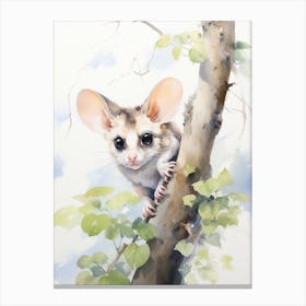 Light Watercolor Painting Of A Sugar Glider 6 Canvas Print