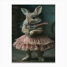 Rabbit In A Dress Canvas Print
