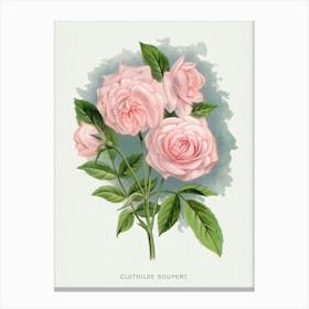 Vintage Botanical Art Print _2697923 Canvas Print