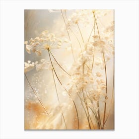 Boho Dried Flowers Queen Annes Lace 9 Canvas Print