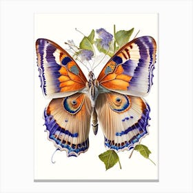 Gatekeeper Butterfly Decoupage 1 Canvas Print