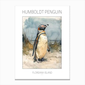 Humboldt Penguin Floreana Island Watercolour Painting 3 Poster Canvas Print
