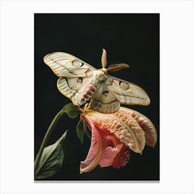 Moth On A Flower Canvas Print