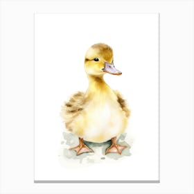 Baby Duckling Watercolour Nursery 2 Canvas Print