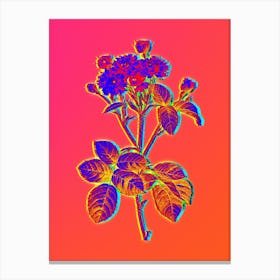 Neon Pink Rosebush Botanical in Hot Pink and Electric Blue n.0614 Canvas Print