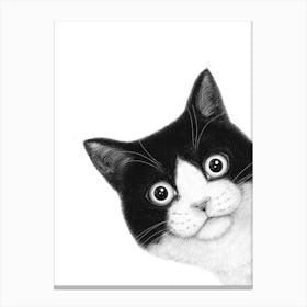 Surprised Black And White Cat Canvas Print