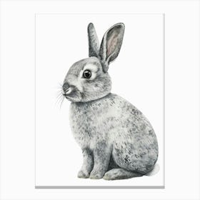 Silver Marten Rabbit Nursery Illustration 4 Canvas Print