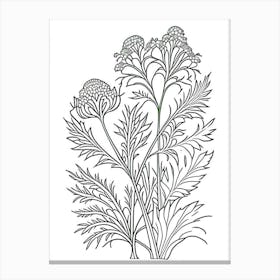 Valerian Herb William Morris Inspired Line Drawing 1 Canvas Print