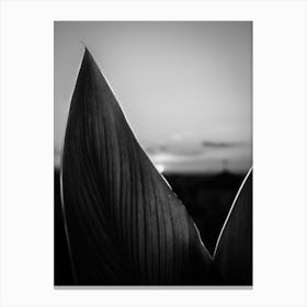 Black and white sunset, Granada, Spain Canvas Print