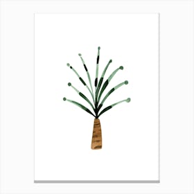 Palm Tree 1 Canvas Print