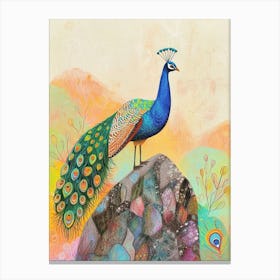 Colourful Peacock On A Rock 2 Canvas Print