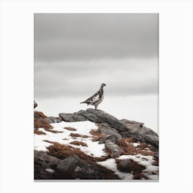 Ptarmigan Landscape Canvas Print