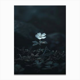 Flower In The Dark 53 Canvas Print