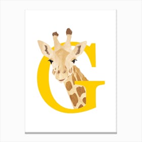 G For Giraffe Canvas Print