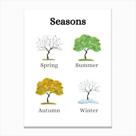 Seasons Tree Canvas Print