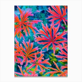 Acropora Humilis Vibrant Painting Canvas Print