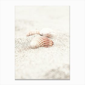 Shell In Sand_2262133 Canvas Print