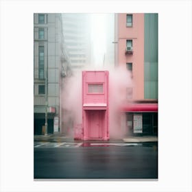 Pink House In Tokyo Canvas Print