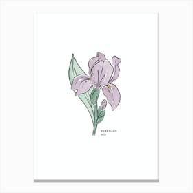 February Iris Birth Flower 1 Canvas Print