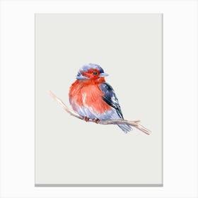 Watercolor Bird 1 Canvas Print