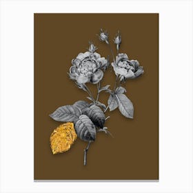 Vintage Anemone Centuries Rose Black and White Gold Leaf Floral Art on Coffee Brown n.0077 Canvas Print