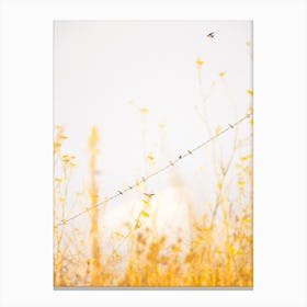 Birds on a Wire - Yellow Canvas Print