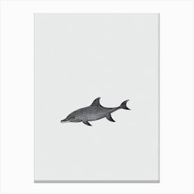 Bottlenose Dolphin Black & White Drawing Canvas Print