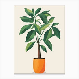 Money Tree Plant Minimalist Illustration 2 Canvas Print