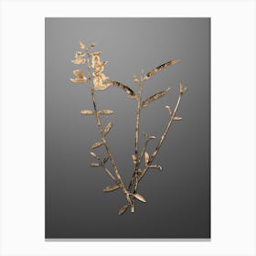Gold Botanical Spanish Broom on Soft Gray n.4675 Canvas Print