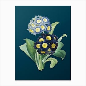 Vintage Mountain Cowslip Botanical Art on Teal Blue n.0147 Canvas Print