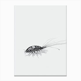 Emperor Shrimp Black & White Drawing Canvas Print
