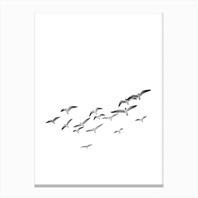 Seagulls Canvas Print