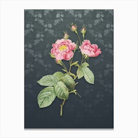 Vintage Anemone Centuries Rose Botanical on Slate Gray Pattern Canvas Print