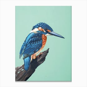 Kingfisher SB 1 Canvas Print