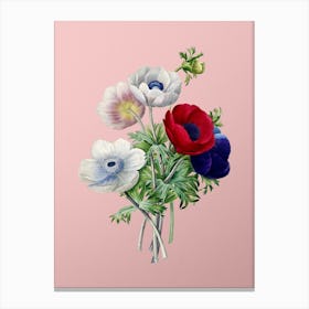 Vintage Anemone Simplex Botanical on Soft Pink n.0614 Canvas Print