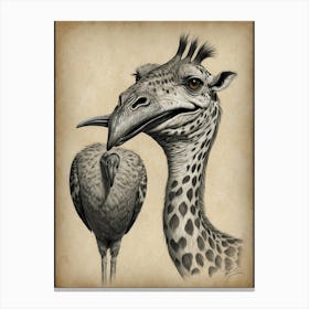 Giraffe And Vulture Canvas Print