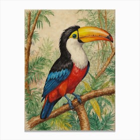 Toucan 38 Canvas Print