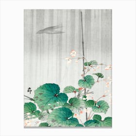 Begonia In The Rain (1930 1945), Ohara Koson Canvas Print