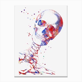 Skull Watercolor Canvas Print