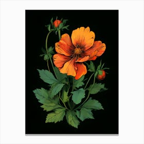 Orange Poppy Canvas Print