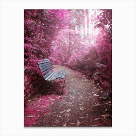 Pink Bench In The Forest Canvas Print