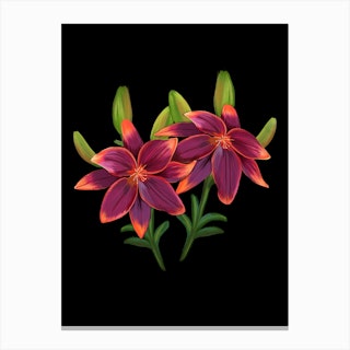 Cute Lilies Canvas Print