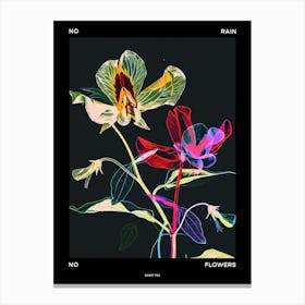 No Rain No Flowers Poster Sweet Pea 1 Canvas Print