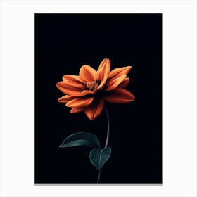 Orange Flower Canvas Print