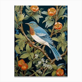 Blue Jay 6 Canvas Print