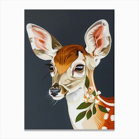 Fawn Illustration 4 Canvas Print