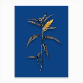 Vintage Dayflower Black and White Gold Leaf Floral Art on Midnight Blue n.0111 Canvas Print
