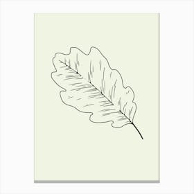 Oak Leaf Vector Illustration line art Canvas Print