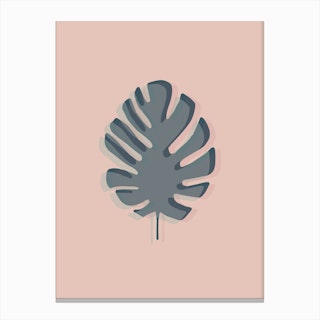 The Solitary Monstera Canvas Print