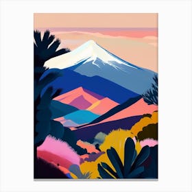 Teide National Park Spain Pop Matisse Canvas Print